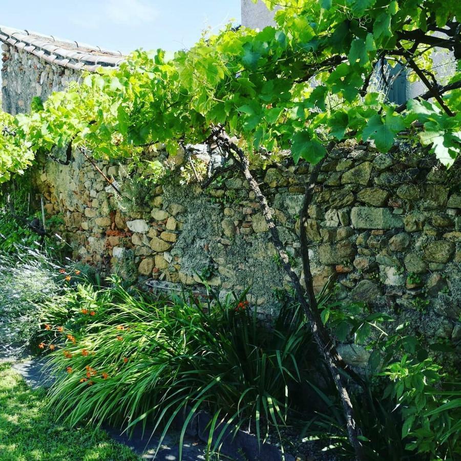 Gite Maison De L'Abbe Сорезе Экстерьер фото